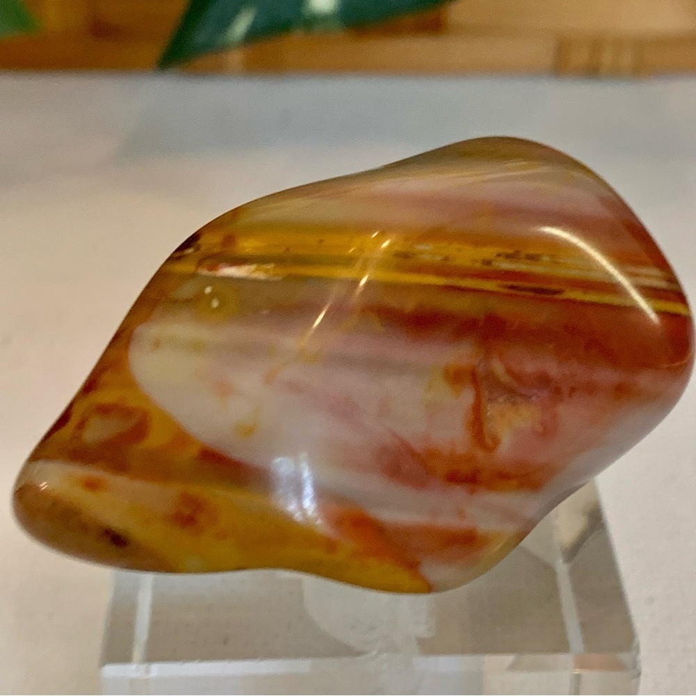 Polychrome Desert Jasper Polished Large Tumble Tumbled Stone Chakra Healing 2"